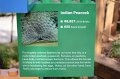Kids_DFWzoo_3-2016 (20)